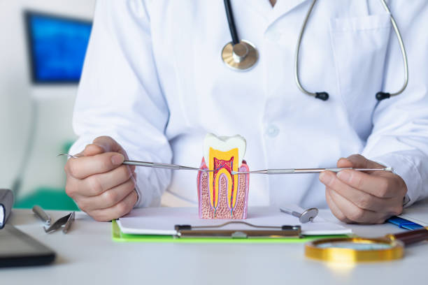 Best Emergency Dental Care for Broken or Chipped Teeth in South Taft, CA